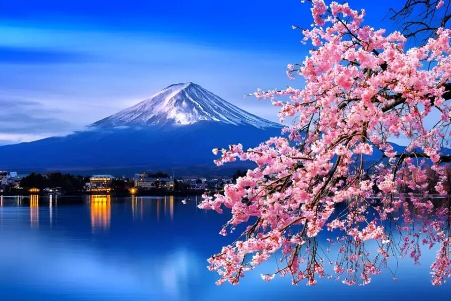 From Tokyo: Mount Fuji & Hakone Full Day Private Tour - Fuji Subaru Line 5th Station: the high-altitude viewpoint that changes the mood