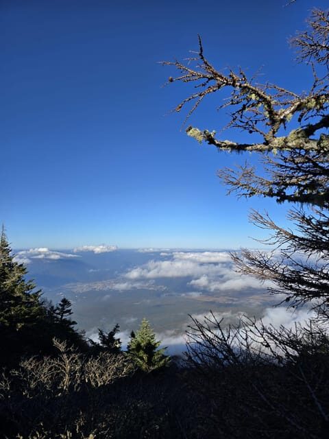From Tokyo: Mount Fuji & Hakone Full Day Private Tour - The bottom line: should you book?