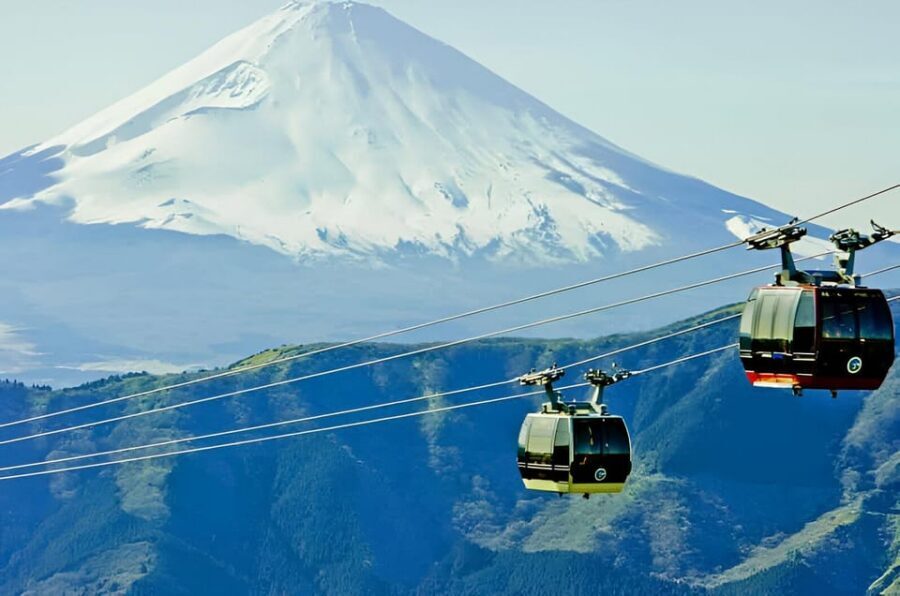 From Tokyo: Mount Fuji & Hakone Full Day Private Tour - Saiko Iyashi-no-Sato Nenba and the Narusawa Ice Cave: culture + cool science
