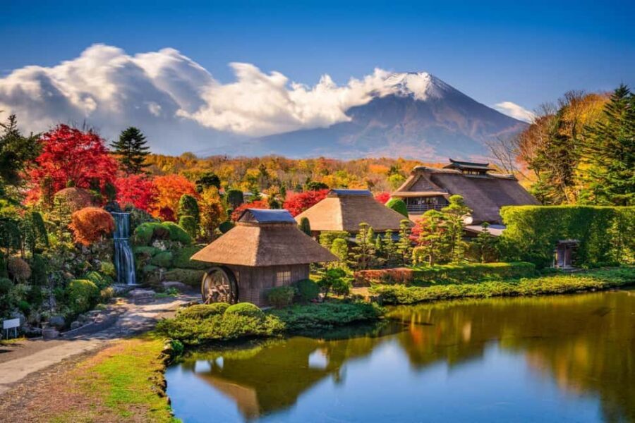 From Tokyo: Mount Fuji Highlights Private Tour - What This Day Feels Like on the Ground