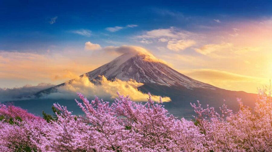 From Tokyo: Mount Fuji Highlights Private Tour - Weather Backup Plans That Save the Day