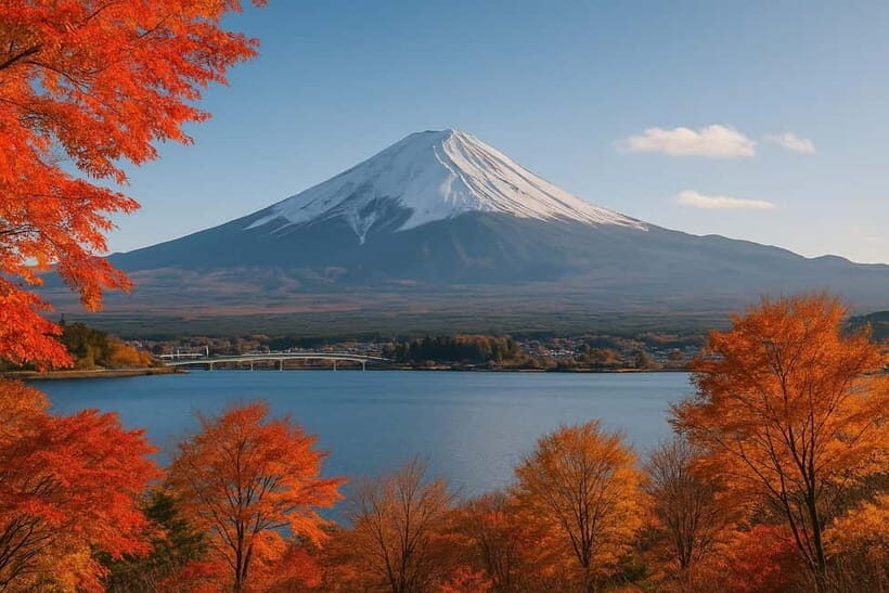 From Tokyo: Mount Fuji One-Day Private Customizable Tour - Oshino Hakkai: spring-fed ponds and a calmer rhythm