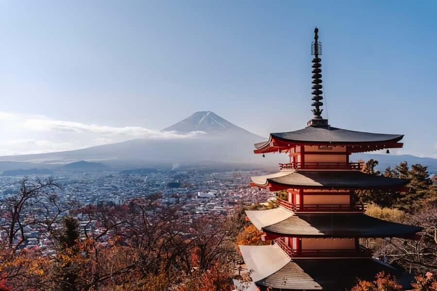 From Tokyo : Mount Fuji Private Day Tour with English Driver - Mount Fuji 5th Station: the high viewpoint, the shuttle fee, and the payoff