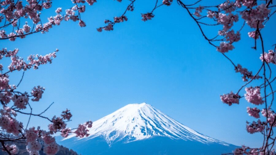 From Tokyo: Mount Fuji Private Day Tour With English Guide - Oshino Hakkai and Saiko Iyashi-no-Sato Nenba: water, ponds, and thatched-roof Japan