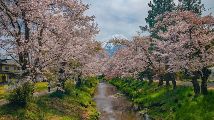 From Tokyo: Mount Fuji Private Tour with a Driver/Guide - Pickup, Vehicle Comfort, and What’s Included in the Ride