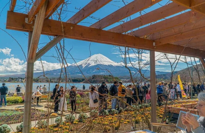 From Tokyo: Mount Fuji Private Tour with a Driver/Guide - Oishi Park and Saiko Iyashi-no-Sato Nenba: Calm, Then Old Japan