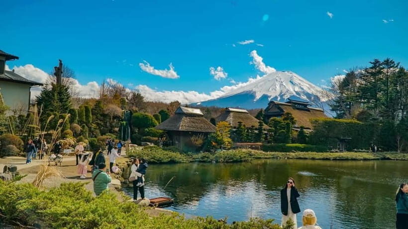 From Tokyo: Mount Fuji Private Tour with a Driver/Guide - Price and Logistics: Getting Real Value from $451