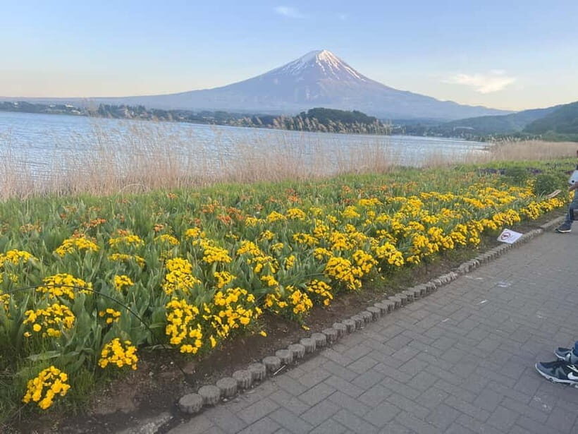 From Tokyo: Mount Fuji Private Tour with a Driver/Guide - Mt. Fuji 5th Station: Your First Big Fuji Fix