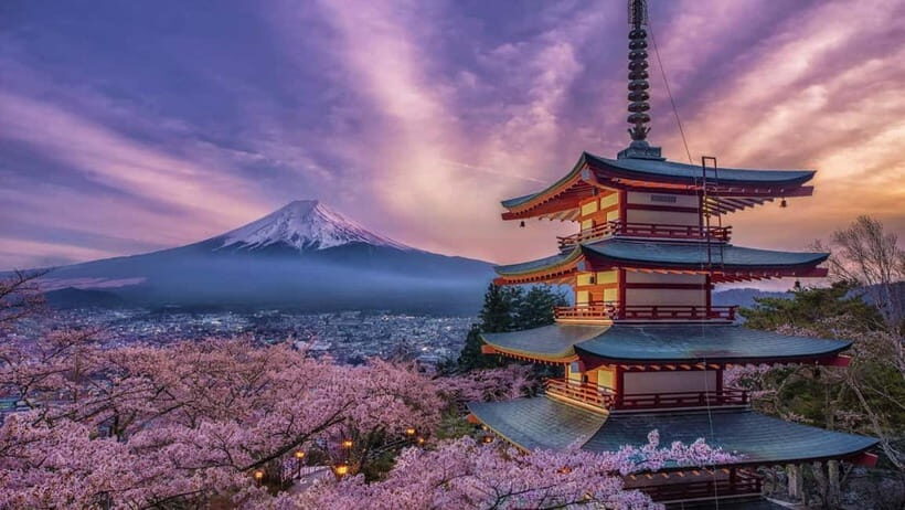 From Tokyo: Mount Fuji Private Tour With English Guide - Key highlights you’ll actually feel