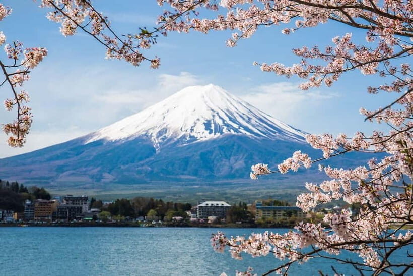 From Tokyo: Mount Fuji Private Tour With English Guide - Chureito Pagoda: the Fuji framing that still works