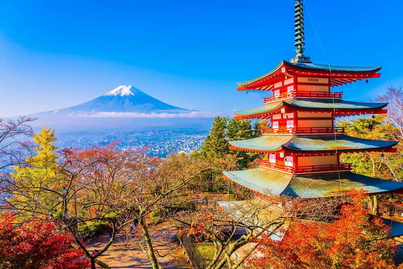 From Tokyo: Mount Fuji Private Tour With English Guide - Mt. Fuji 5th Station: the best drive-up perspective