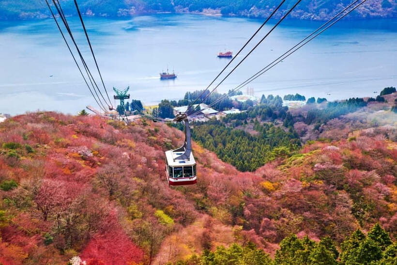 From Tokyo: Mount Fuji Private Tour With English Guide - Oishi Park and the lakeside photo stops: small breaks that matter