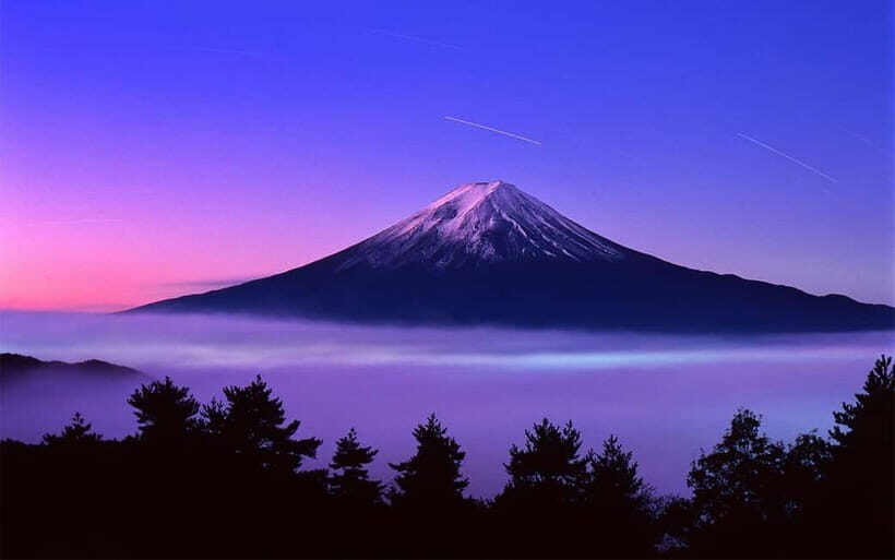 From Tokyo: Mount Fuji Private Tour With English Guide - Picking up in Tokyo or Yamanashi, then dropping off where you want