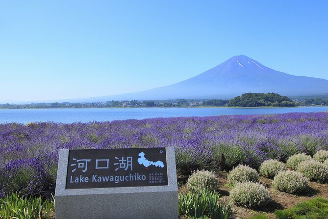 From Tokyo: Mount Fuji Sightseeing Full Day Trip - Price and What $59 Really Buys You