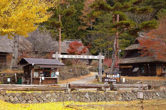 From Tokyo: Mount Fuji Sightseeing Full Day Trip - The Red Torii Photo Moment at Kawaguchiko Natural Living Center