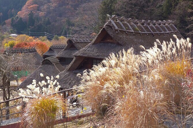 From Tokyo: Mount Fuji Sightseeing Full Day Trip - What You’ll Feel on the Day: Weather, Cold, and the Fuji Visibility Reality