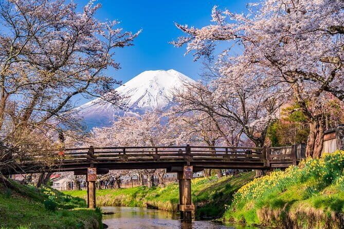 From Tokyo: Mount Fuji Sightseeing One Day Trip - Key Things That Make This Mount Fuji Day Trip Work