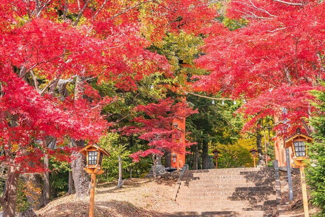 From Tokyo: Mount Fuji Sightseeing One Day Trip - A Mount Fuji Day Trip Built for Logistics (Not Guesswork)