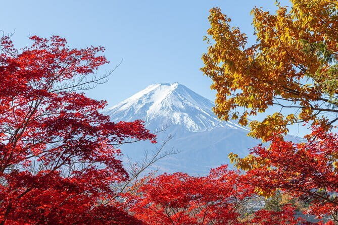 From Tokyo: Mount Fuji Sightseeing One Day Trip - Price and What You’re Really Buying for $58.90