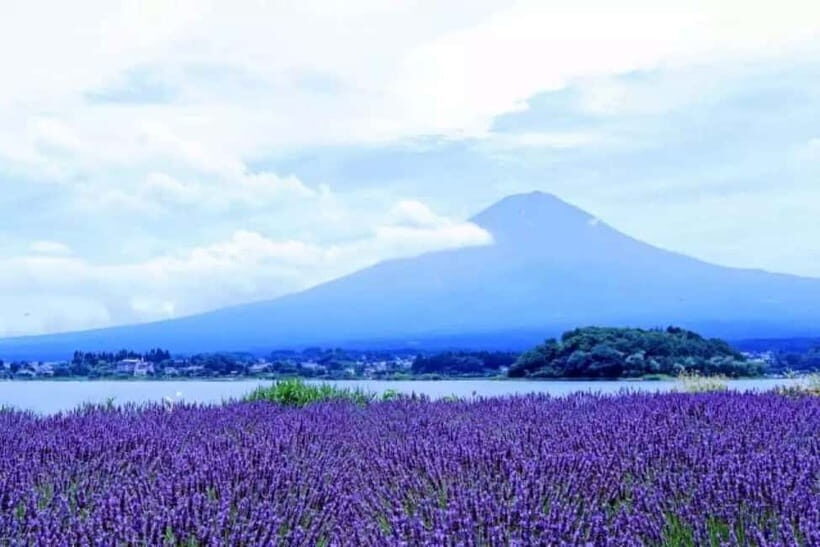From Tokyo: Mt. Fuji 5th station and Oshino Hakkai Day Trip - Key Points Worth Knowing Before You Go