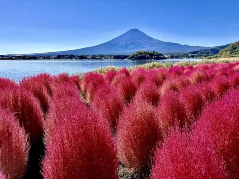 From Tokyo: Mt. Fuji 5th station and Oshino Hakkai Day Trip - Guide Names You’ll Actually Remember: Helen (Ms. Wei) and Jenny