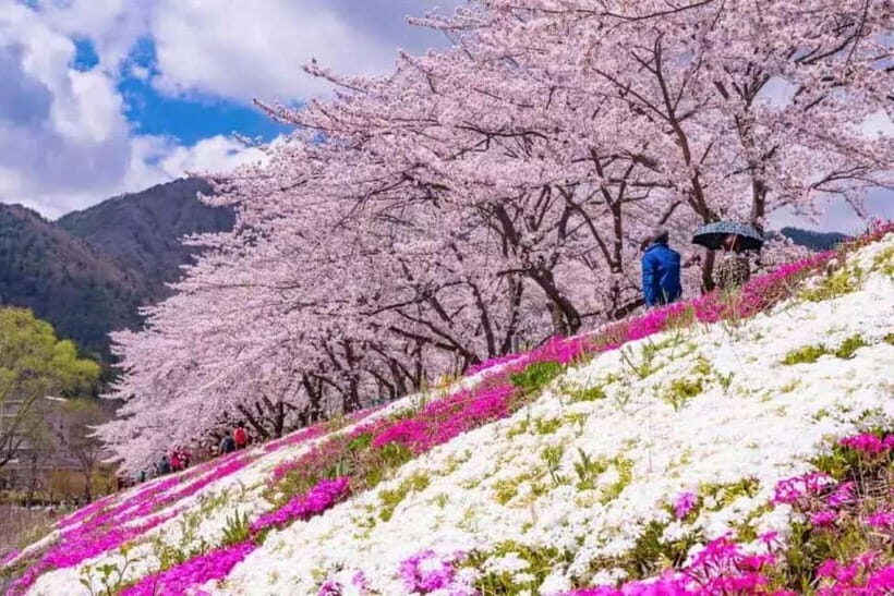 From Tokyo: Mt. Fuji 5th station and Oshino Hakkai Day Trip - Price and Value: Is $103 Reasonable for a Full Fuji Day?