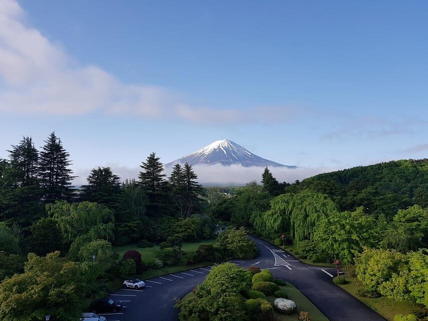From Tokyo: Mt. Fuji And Hakone Private Sightseeing Day Trip - Key Things That Make This Private Day Trip Worth It