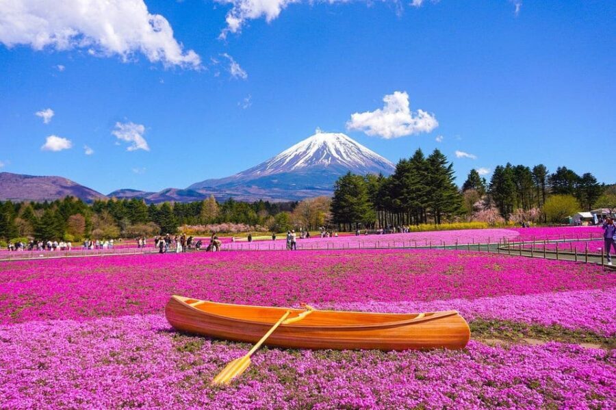 From Tokyo: Mt. Fuji And Hakone Private Sightseeing Day Trip - The Day’s Rhythm: How the Stops Add Up (and How to Not Feel Rushed)