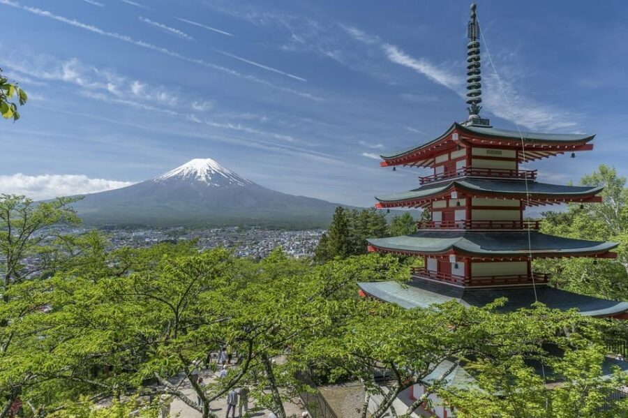 From Tokyo: Mt. Fuji And Hakone Private Sightseeing Day Trip - Weather Reality: How to Maximize Your Chances of Seeing Mt. Fuji