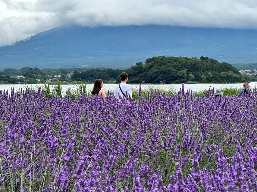 From Tokyo: Mt.Fuji & Gotemba Private Customizable Day Trip. - Who This Day Trip Is Perfect For (and Who Might Prefer Something Else)