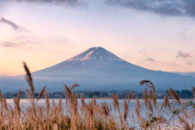 From Tokyo: Mt.Fuji & Gotemba Private Customizable Day Trip. - Pickup and the Tokyo-to-Fuji Drive: Where Your Day Really Gets Made