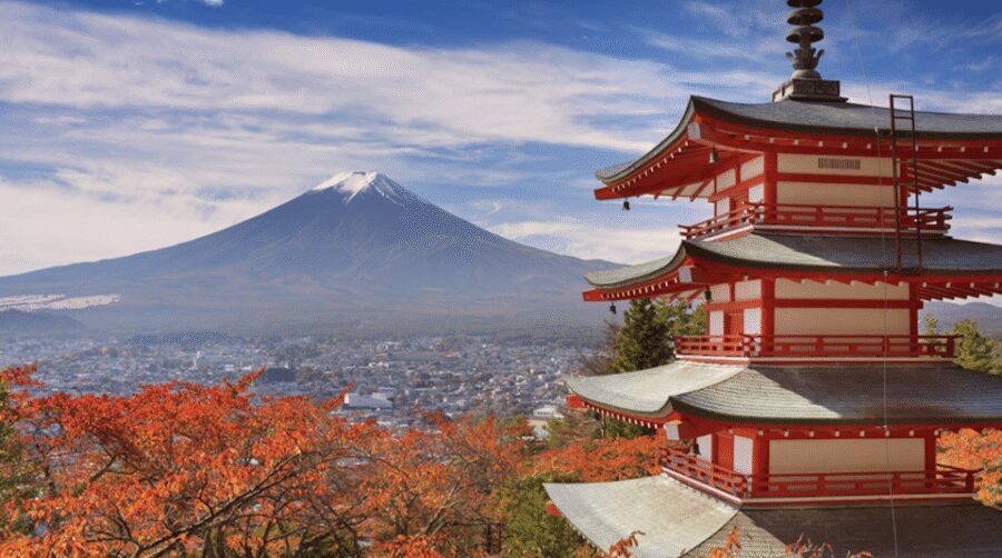 From Tokyo: Mt. Fuji, Hakone, Owakudani & Lake Ashi Bus Tour - Key Highlights You’ll Actually Notice