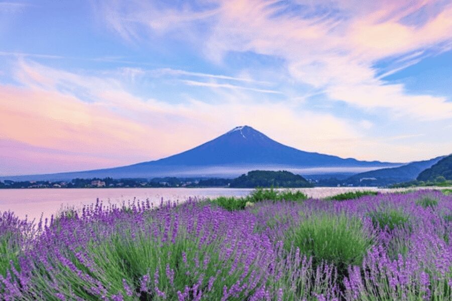 From Tokyo: Mt. Fuji, Hakone, Owakudani & Lake Ashi Bus Tour - The 2-Hour Drive: You’re Trading Transit Stress for Time in the Views