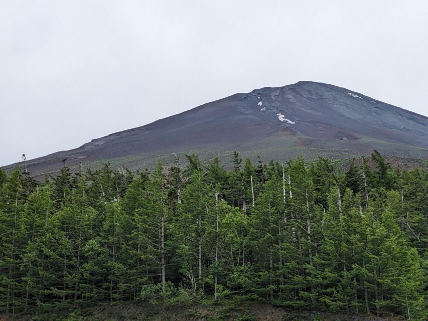 From Tokyo: Mt. Fuji & Hakone Tour w/ Return by Bullet Train - Lake Ashi Cruise: The Scenic Payoff (When Visibility Cooperates)