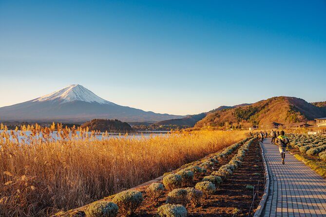 From Tokyo Mt.Fuji, Lake Kawaguchi, Makaino Farm day tour - Tokyo to Mt. Fuji Country: What This Day Trip Is Really About