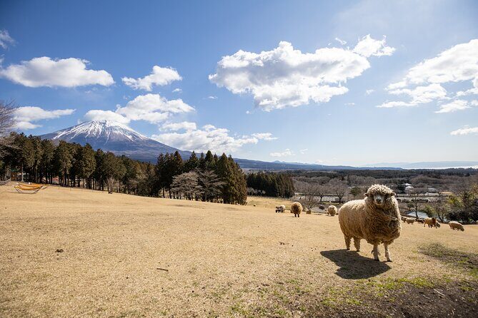 From Tokyo Mt.Fuji, Lake Kawaguchi, Makaino Farm day tour - Makaino Farm: Animals, Dairy Treats, and Fuji Views Up Close
