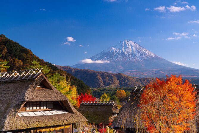 From Tokyo Mt.Fuji, Lake Kawaguchi, Makaino Farm day tour - Guide and Transport: Getting Out of Tokyo Without the Headache
