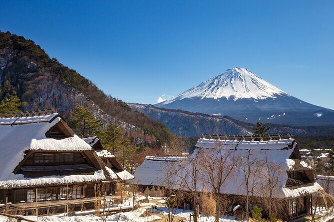 From Tokyo Mt.Fuji, Lake Kawaguchi, Makaino Farm day tour - Price and Value: Is $84.70 a Fair Deal?