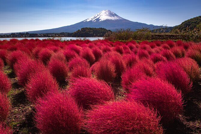 From Tokyo Mt.Fuji, Lake Kawaguchi, Makaino Farm day tour - Timing, Weather, and Your Mt. Fuji Expectations