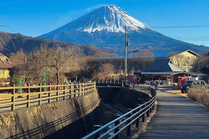 From Tokyo Mt.Fuji, Lake Kawaguchi, Makaino Farm day tour - What to Do With Your Free Time at Each Stop
