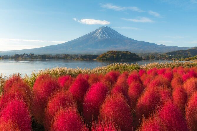 From Tokyo Mt.Fuji, Lake Kawaguchi, Makaino Farm day tour - Oishi Park and Lake Kawaguchi: Your First Fuji Shot Window