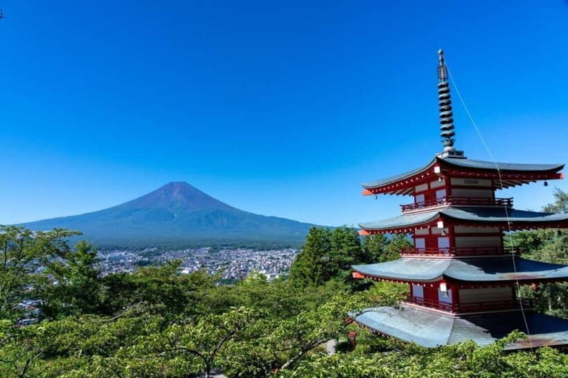 From Tokyo: Mt.Fuji, Lake Kawaguchi, Oshino Hakkai Day Tour - Oishi Park photo stop: a calmer Fuji break