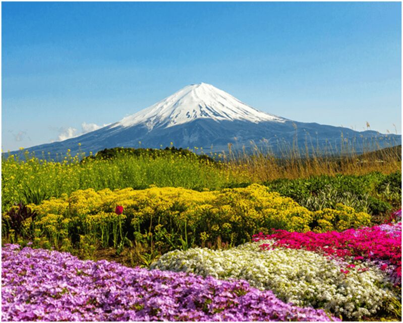 From Tokyo: Mt.Fuji, Lake Kawaguchi, Oshino Hakkai Day Tour - Oshino Hakkai ponds: the Fuji “water memory”