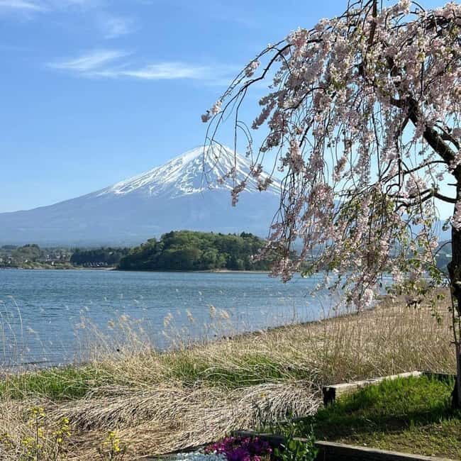 From Tokyo: Mt Fuji Private Day Tour In Luxury Land Cruiser - Price and Value: Paying for Convenience (Not Just Sights)