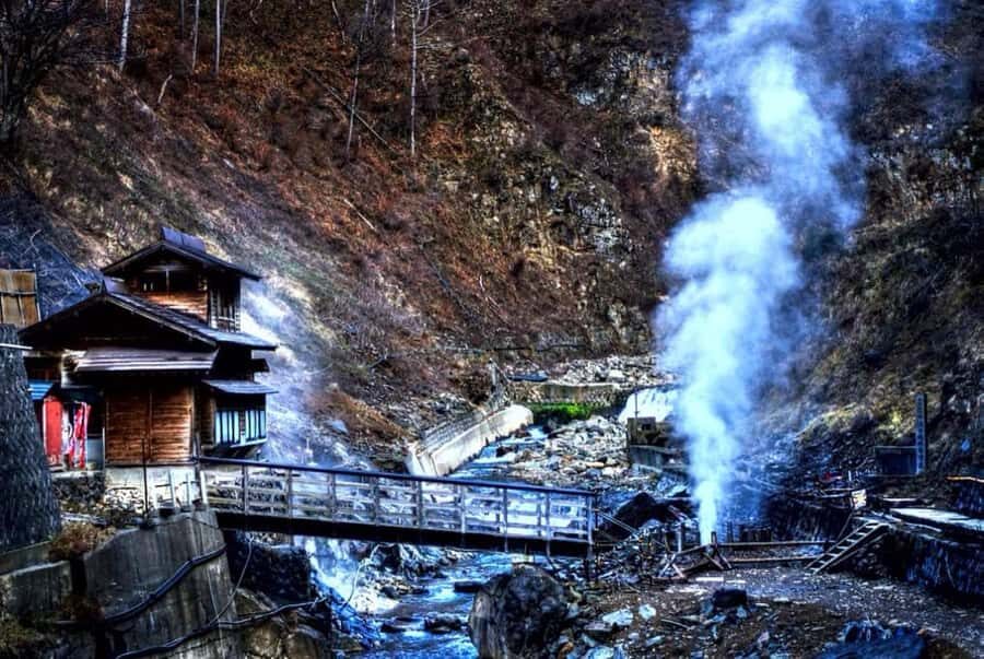 From Tokyo: Nagano Full Day Private Snow Monkey Park Tour - What’s Included vs. What You Need to Plan