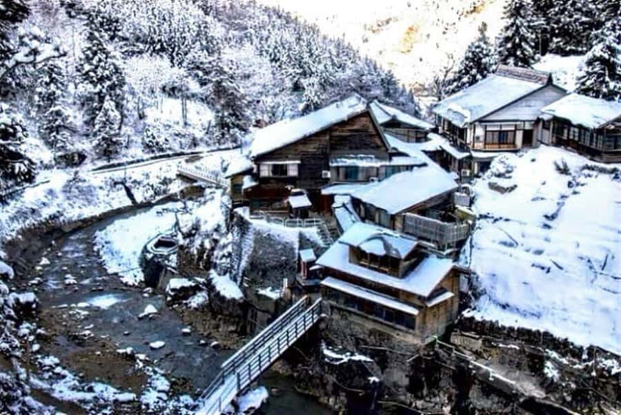 From Tokyo: Nagano Full Day Private Snow Monkey Park Tour - Price and Value: Is $455 Per Group Fair?