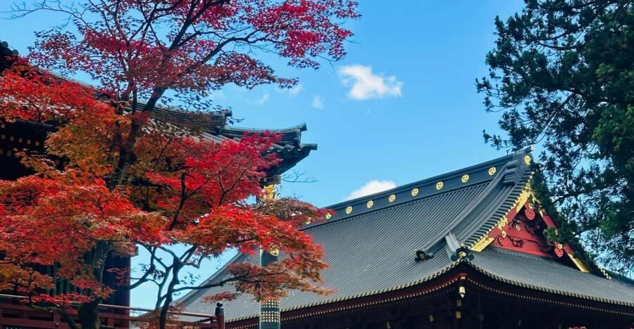 From Tokyo: Nikko Customize private Tour With English Driver - Hotel pickup and the drive: your first win is less stress