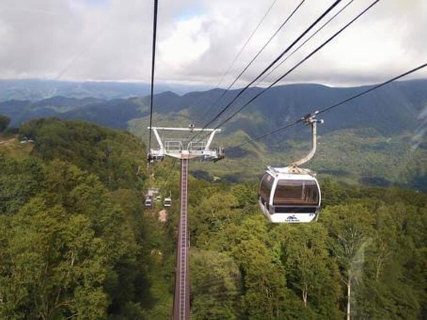 From Tokyo: Nikko luxury Tour with English-speaking Guide - Key Highlights You’ll Actually Care About