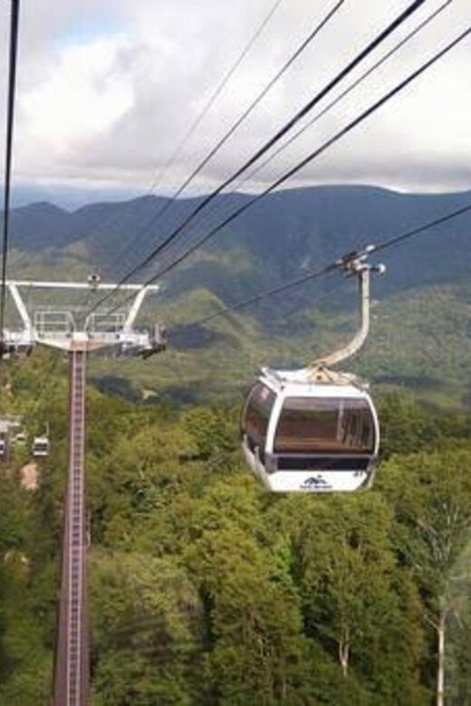 From Tokyo: Nikko luxury Tour with English-speaking Guide - Why Nikko Works So Well as a Day Trip From Tokyo