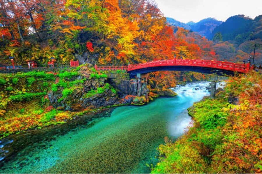 From Tokyo: Nikko luxury Tour with English-speaking Guide - Nikko Futarasan Jinja: The Second Shrine Stop That Adds Meaning